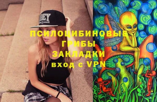 дмт Богородск