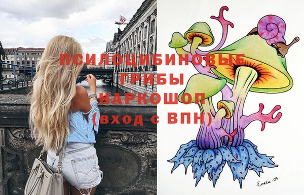 mdpv Бронницы