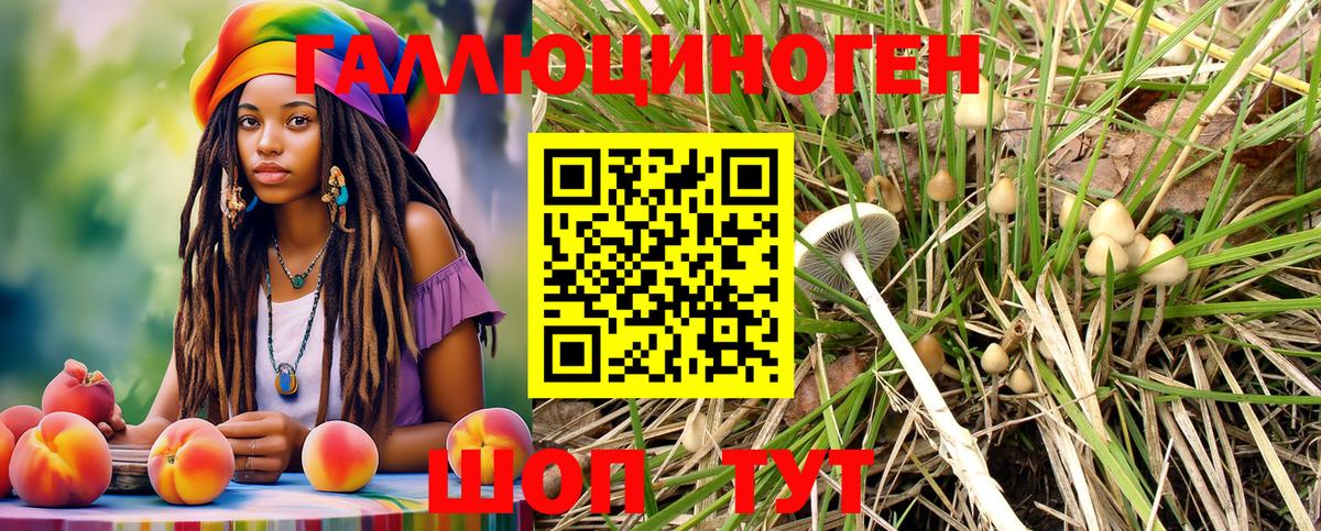 Свободный  Псилоцибиновые грибы MAGIC MUSHROOMS  Вход с VPN 